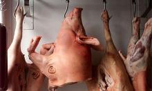 Pork meat,Pork head