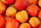 Natural apricot powder