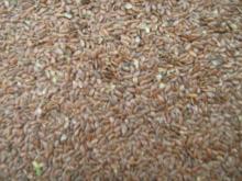 flax seeds,linseeds