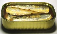 125g club canned sardine in soya oil,brine,tomato sauce