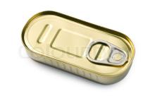 CANNED SARDINE