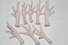 Frozen chicken feet