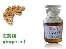 Natural Ginger Oil,natural spice oil,plant extract