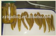 canned vegetable----Canned Green Pepper/Canned Green Hot Pepper