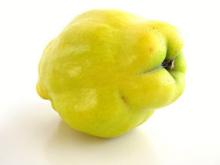 Fresh Quince