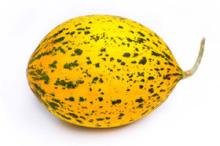 Fresh Melon