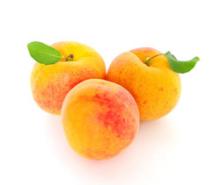 Fresh Apricot