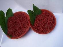 SELL ANNATTO SEEDS