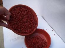 ANNATTO FOR SALE
