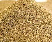 CELERY SEED OIL