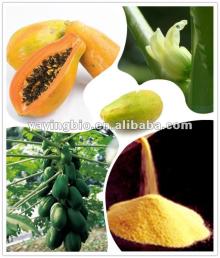 Papaya Seed Extracts For sale
