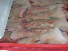 pork font and back hind