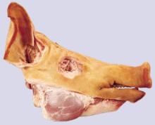 pork head