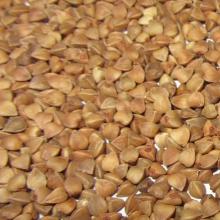 Chinese Roasted Buckwheat Kernel