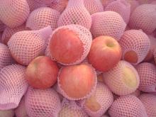 Red Fresh FUJI Apple of Ukraine Origin