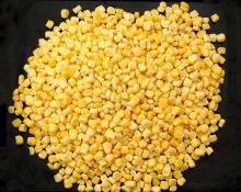 freeze drying corn