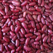 kidney beans