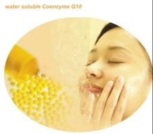 Coenzyme Q10 10% CWS Powder