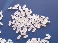 A reliable buying & dispatch service for Rice