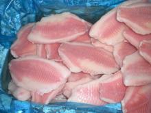 Frozen Tilapia Fillet