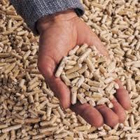 Tapioca Residue Pellet: Cheap Price