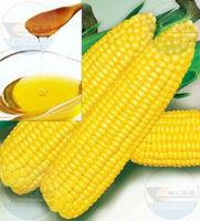Refined Corn Oil