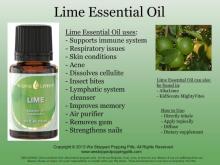 100% Pure OEM ODM Citrus aurantifolia Cold Pressed Lime Oil