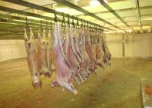 Chilled Goat Meat