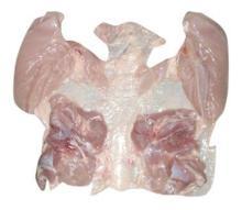 Frozen boneless Halal whole chicken