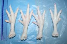 Chicken feet, Ukraine origine, China approved