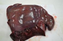 Frozen beef liver