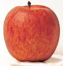 GALA APPLES
