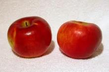 Cortland Apples