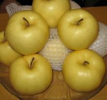 Golden delicious apple