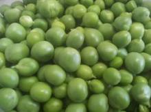 2012 new Crop dry green pea