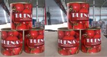 Canned Tomato Paste