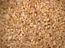 barley