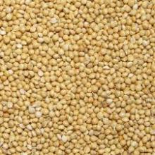 millet
