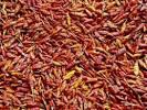 dry pili pepper