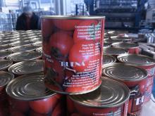 800g Canned Tomato Paste