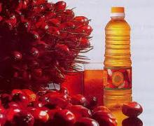 Palm olien Oil available Now