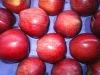 Red Apples