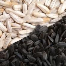 Sunflower seeds