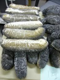 Dry and Fresh Sea Cucumber
