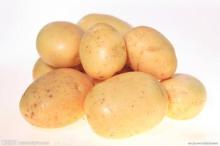 High Quality Long Shape Fresh Potato for Sale