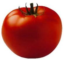 GRADE A FRESH TOMATOES FOR SALE