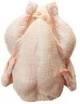 FROZEN WHOLE HALAL CHICKEN, CHICKEN LEGS AND CHICKEN WINGS