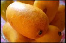 PAKISTANI MANGOES