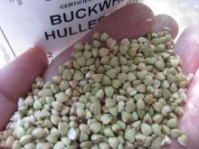 Hulled Buckwheat