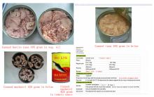 Canned tuna, canned mackerel of Chinese origin